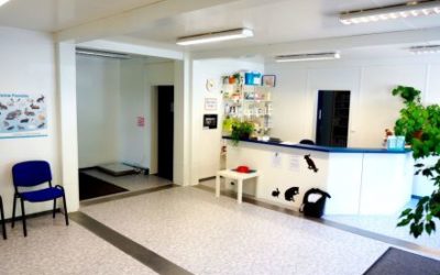 Concept-modulaire-accueil-des-clients-stylé-et-diverses-salles-de-soins-vétérinaires-2-400x250